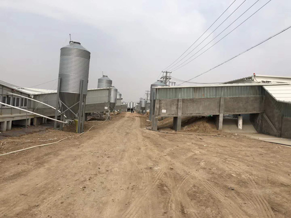 1545438366852272.jpg 處理后5.jpg