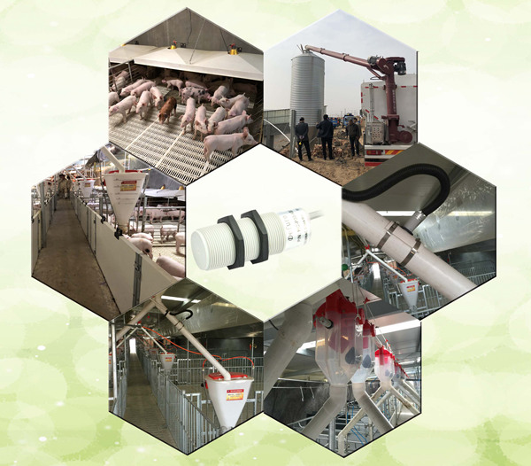 1545439144490732.jpg 處理后7.jpg