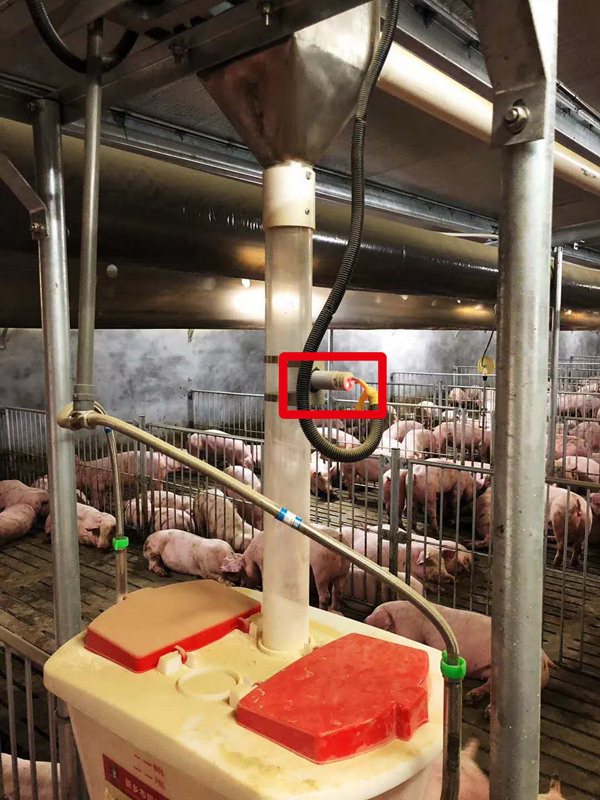 1545439163470642.jpg 處理后3.jpg