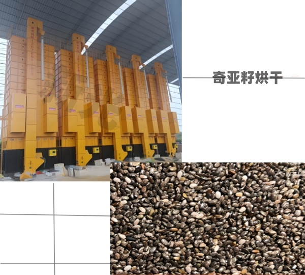 �¹�Zʳ��əC(j��)�恆�Ѹ���