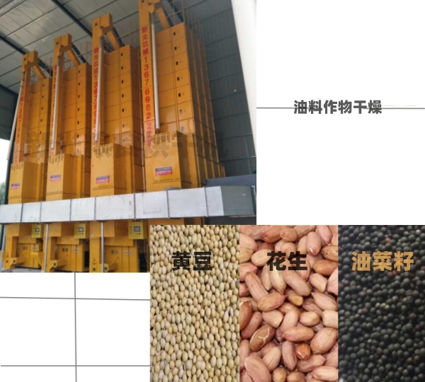 �¹�Zʳ��əC