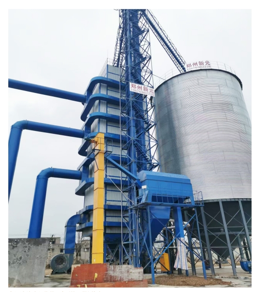 �¹�Zʳ�����